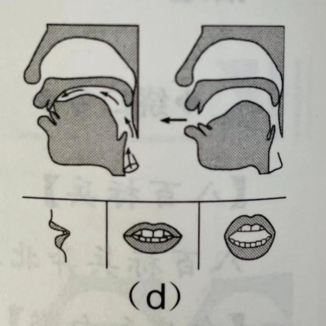 和小舌上升,堵塞鼻腔通路,口腔蓄有空气,气流冲破舌尖的阻碍,迸裂而出