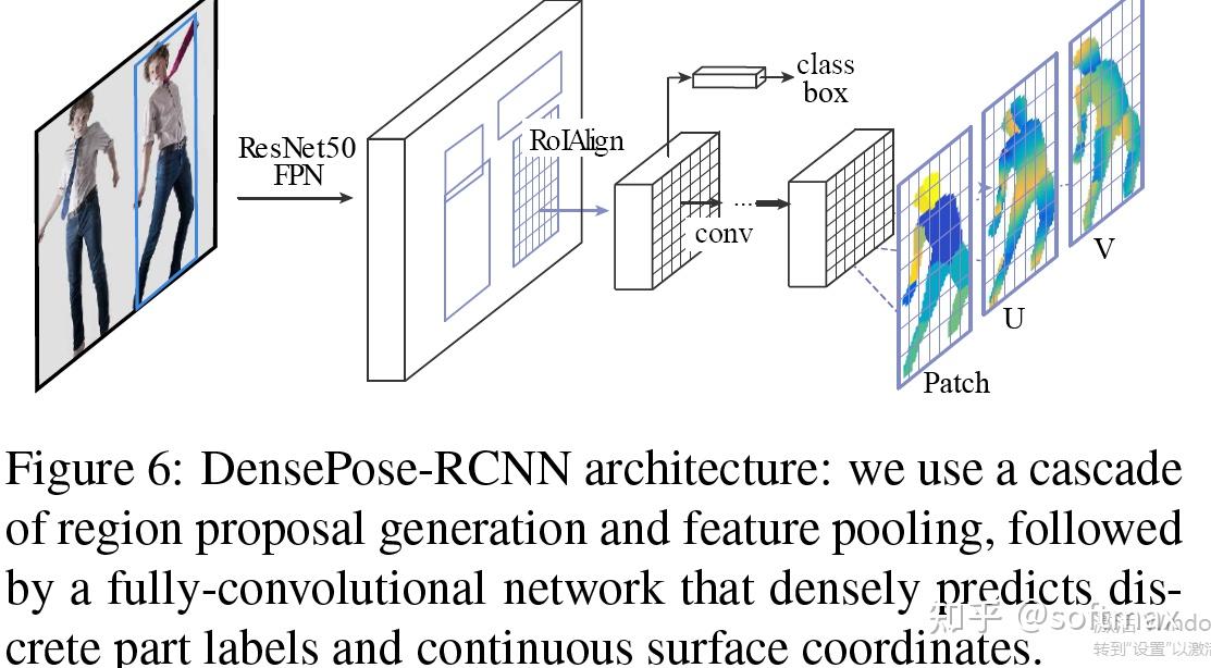 DensePose: Dense Human Pose Estimation In TheWild阅读笔记解读和复现 - 知乎