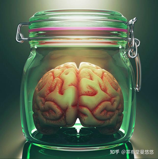 自动驾驶技术难点之缸中之脑kellyontech自动驾驶系列