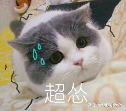 v2-d8605ad89c5bc9159d60ffbac77dc53a_b.jpg
