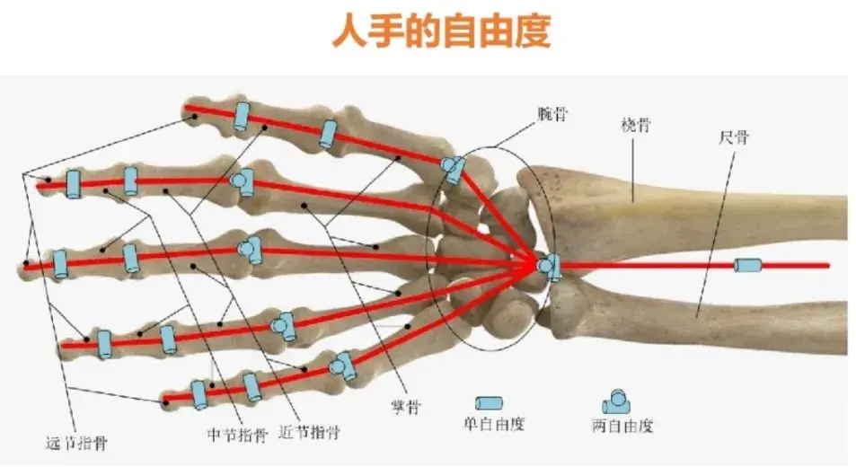 疆亘观察｜人型机器人——灵巧手 - 知乎