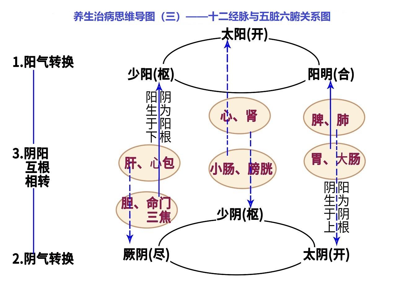 从“开、合、枢”的角度理解十二经之功能 知乎 