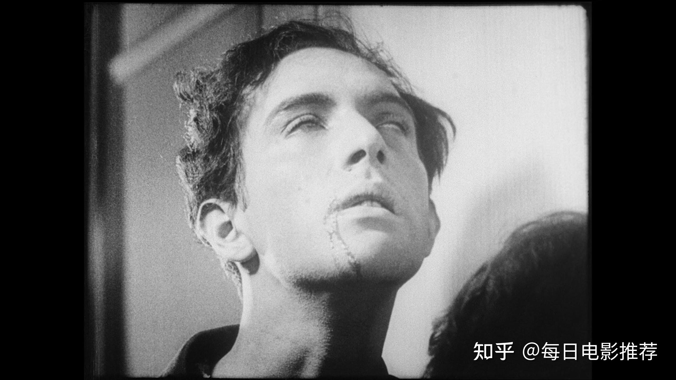 《电影手册》top250 蓝光版终极推荐(第九期 no.205)