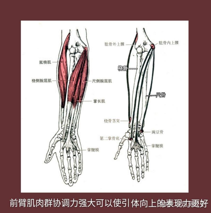 关于正握、反握和侧握 - 知乎