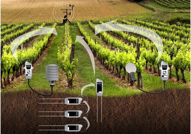 水肥一体化是什么