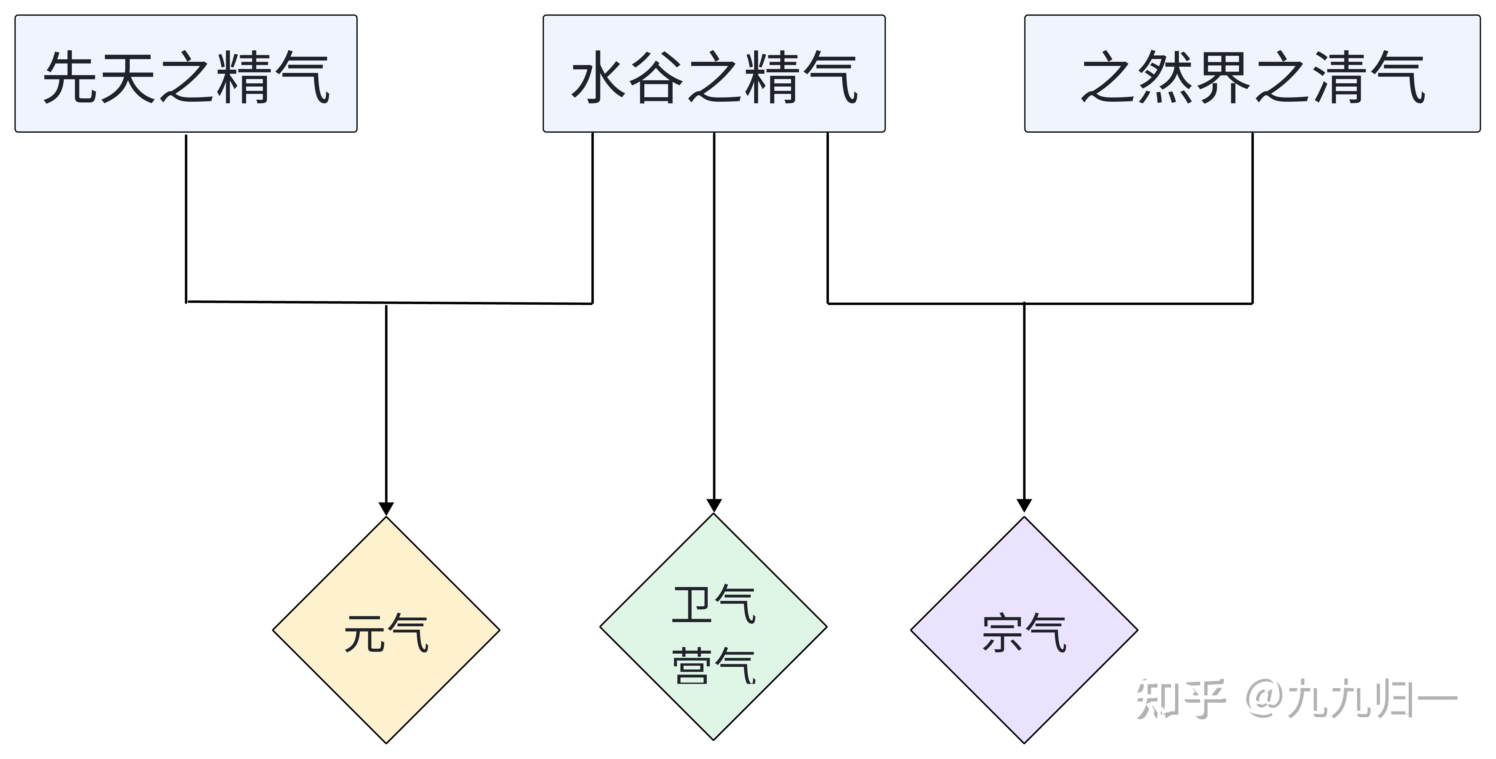 人体之气的分类 - 知乎