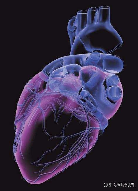 河南女生写作文提心脏病史竟被学校抛弃