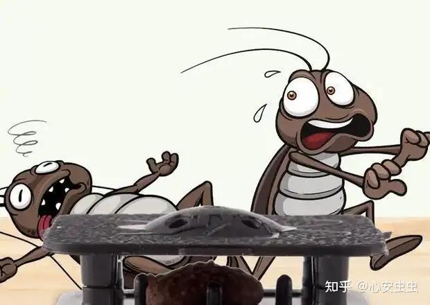 "蟑螂不能踩死,否则会走到哪里传播到哪里"是真的吗?为什么?