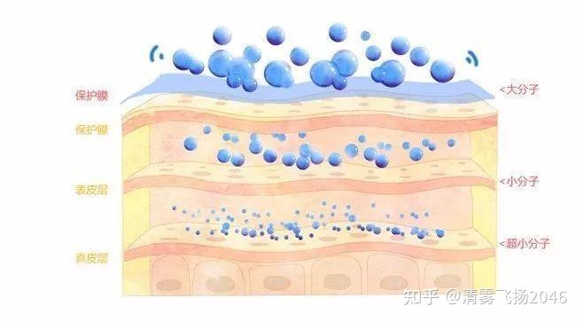 透明质酸、透明质酸钠、水解透明质酸有什么区别？ 知乎 