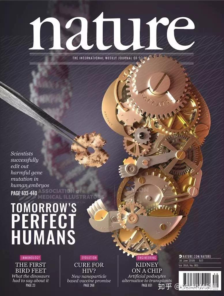 不一样的医学插画,ami优秀作品欣赏|sci-hua科研绘图 - 知乎