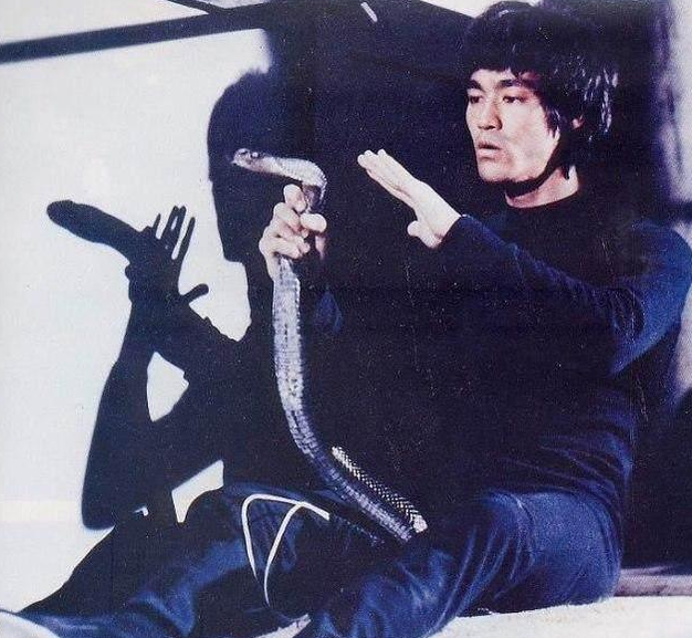 李小龙肌肉爆发力训练的方法你知道么