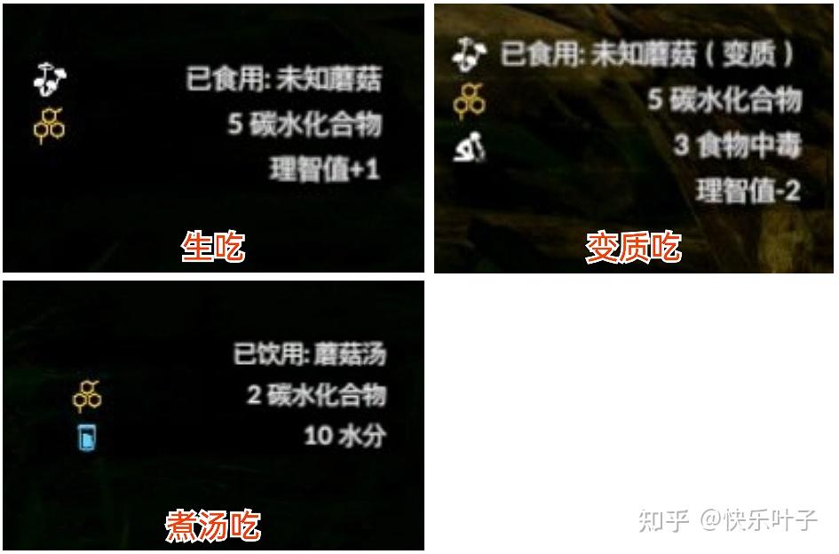 green hell《绿色地狱》主要植物及食用效果(新手向)