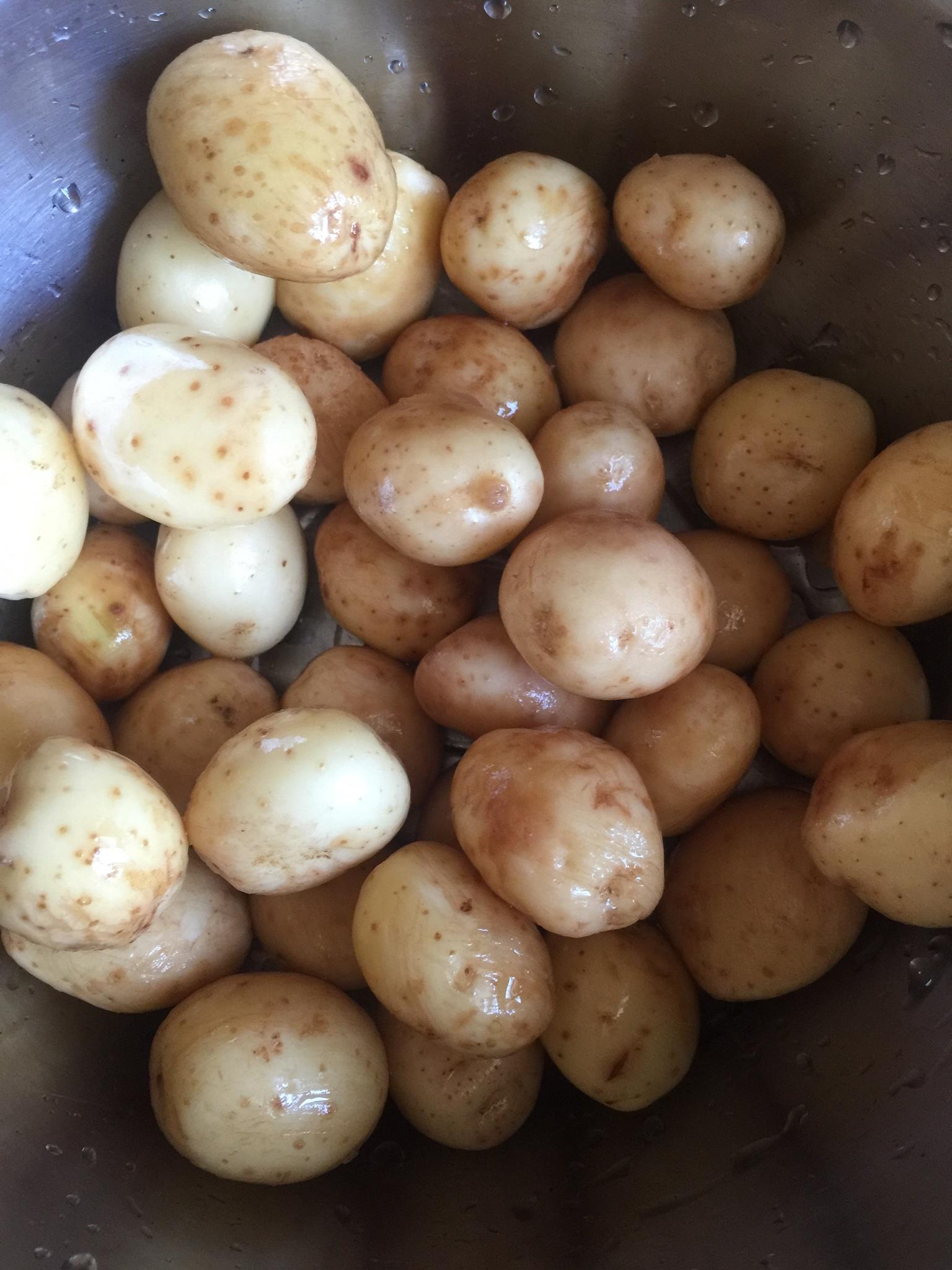 白底蔬菜土豆马铃薯两个土豆切开土豆图片免费下载 - 觅知网