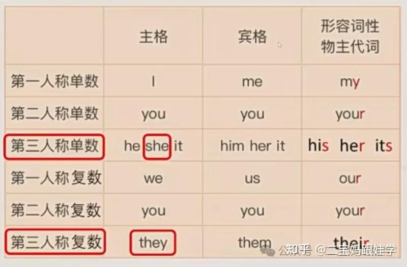【跟娃学英语】小学英语语法——物主代词(形容词性和名词性) - 知乎
