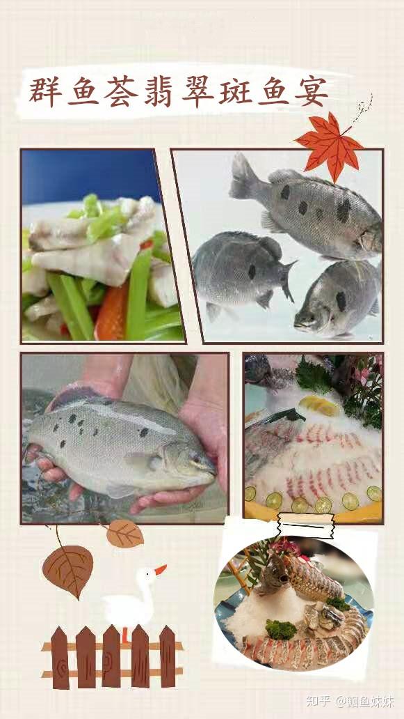 翡翠斑鱼的烹制(翡翠斑鱼怎么做好吃)