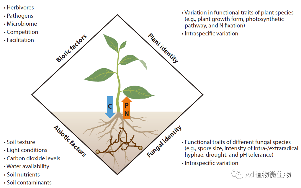 Annual review of plant biology 