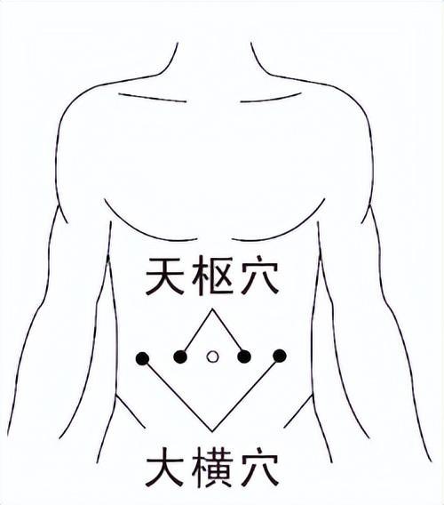 雙手中指正對肚臍,用掌根和其餘四指捏擠天樞穴,大橫穴下脂肪層,用力