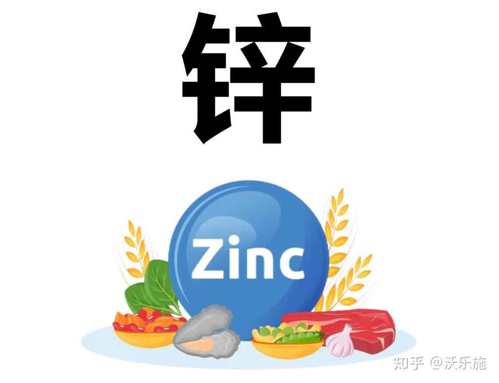 人体不可缺少的锌元素是什么?存在于哪些食物中? - 知乎