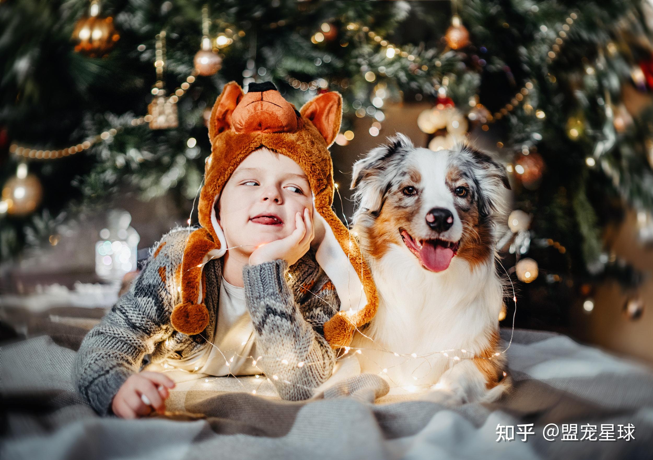 3, 如果你家中有孩子,可以养宠物吗?