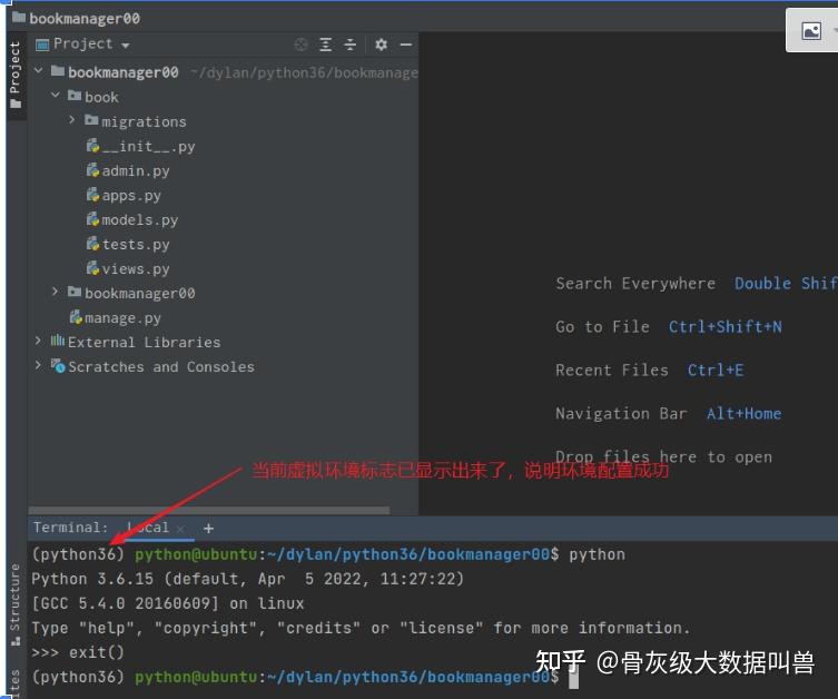  python3 venv 