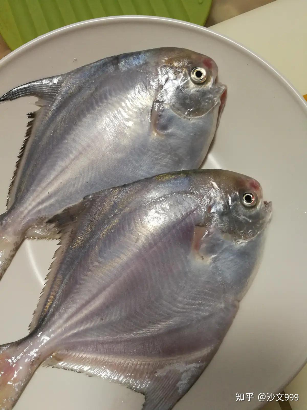 鲳鱼味道好 - 知乎
