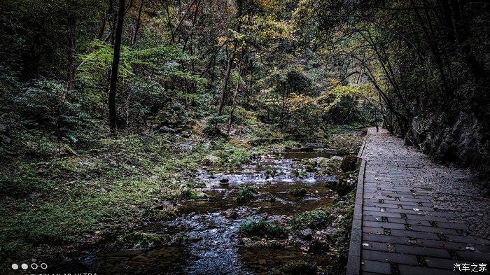 一人一唐,自驾洛南金丝峡,瞰五彩斑斓深秋神瀑峡沟