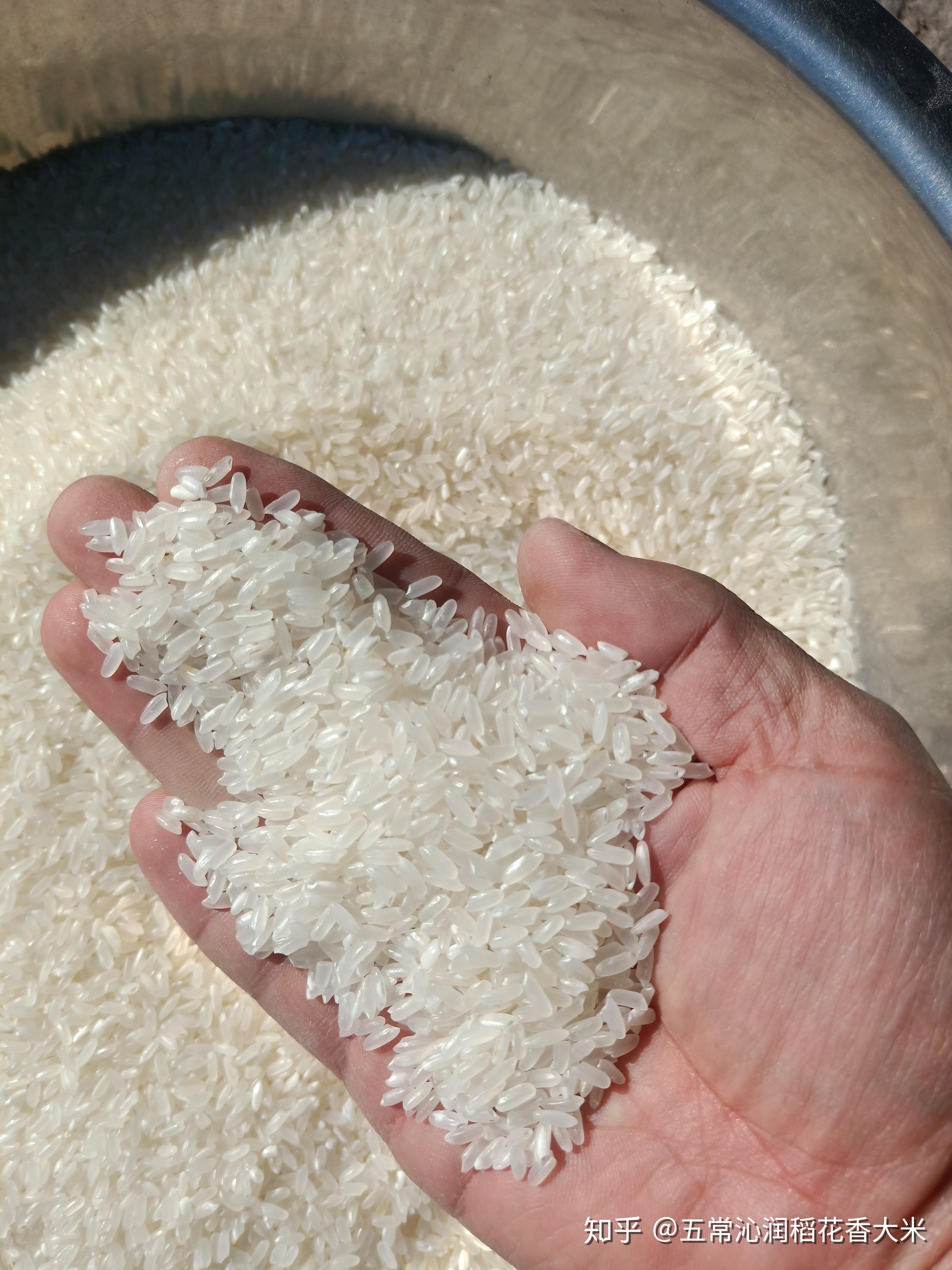 大米不光有保质期还有保鲜期