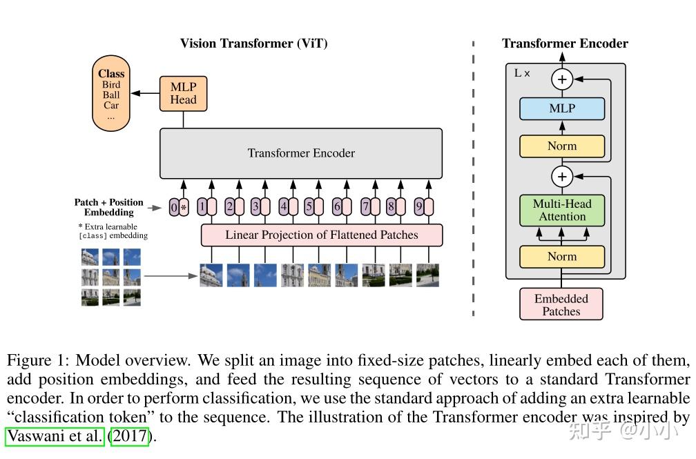 Transformer（四）ViT and SimpleViT - 知乎