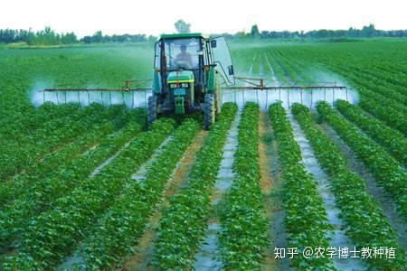 吃什么东西补钾效果好 v2-d926ae3c7c46e3bef1f7e4a756745bba_r.jpg