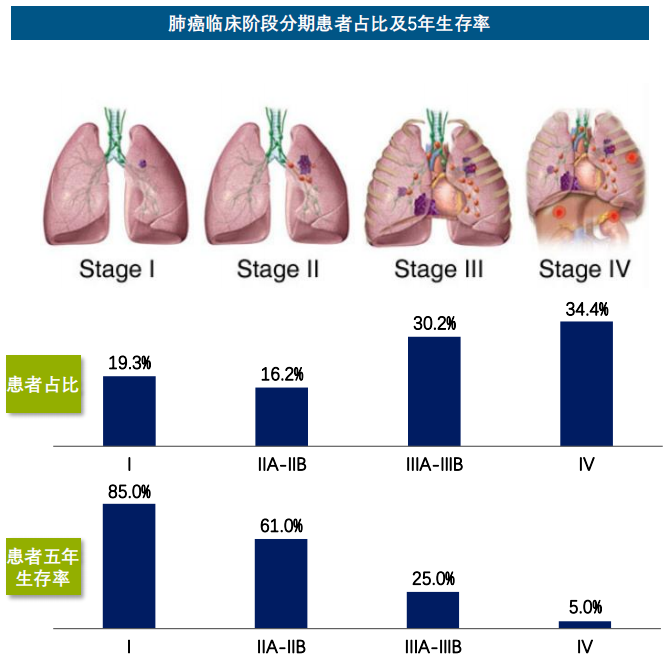 一,中国肺癌发病率及死亡率最高,2015