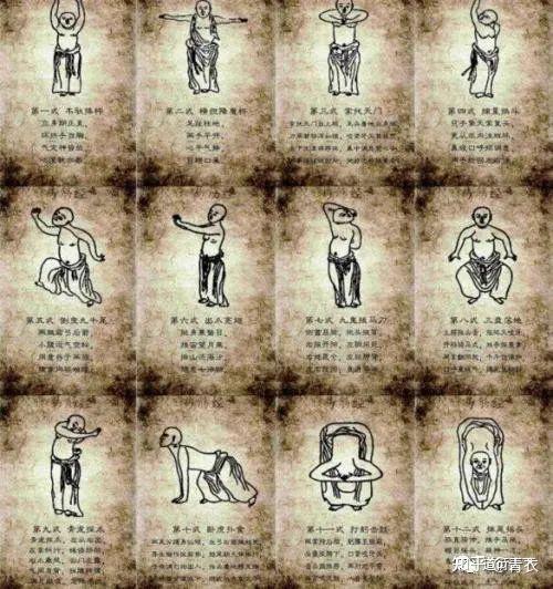 导引之术《易筋经》全文及讲解 - 知乎