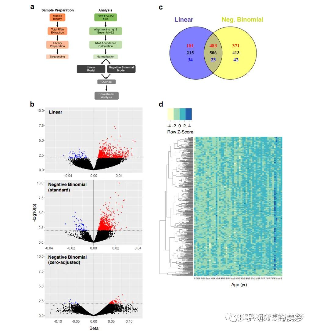 转录组不求人系列(一)：转录组测序文件与一般基础概念解读 - 知乎