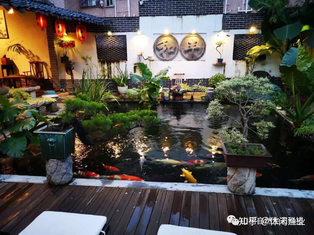 山树与您共赏中国日本欧美独具特色的锦鲤池