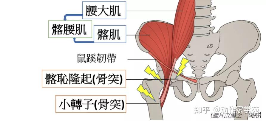 髋关节屈伸不顺有弹响,如何改善