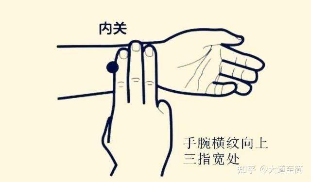 内关穴在哪里？准确位置图及作用操作法 - 知乎