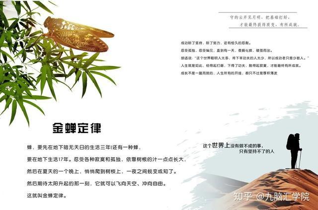 成功三大定律荷花定律金蝉定律竹子定律