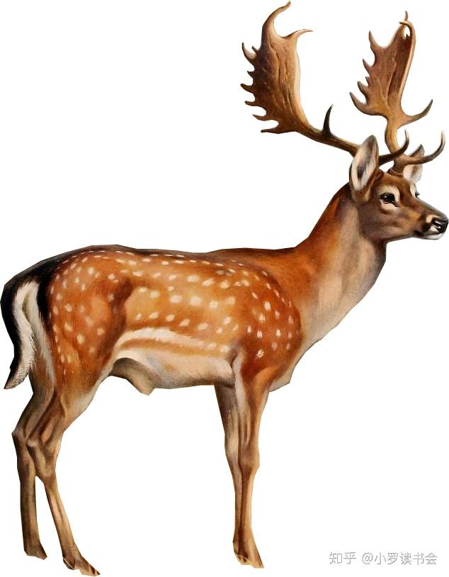 建筑拼贴风ps素材分享作图的素材都有了