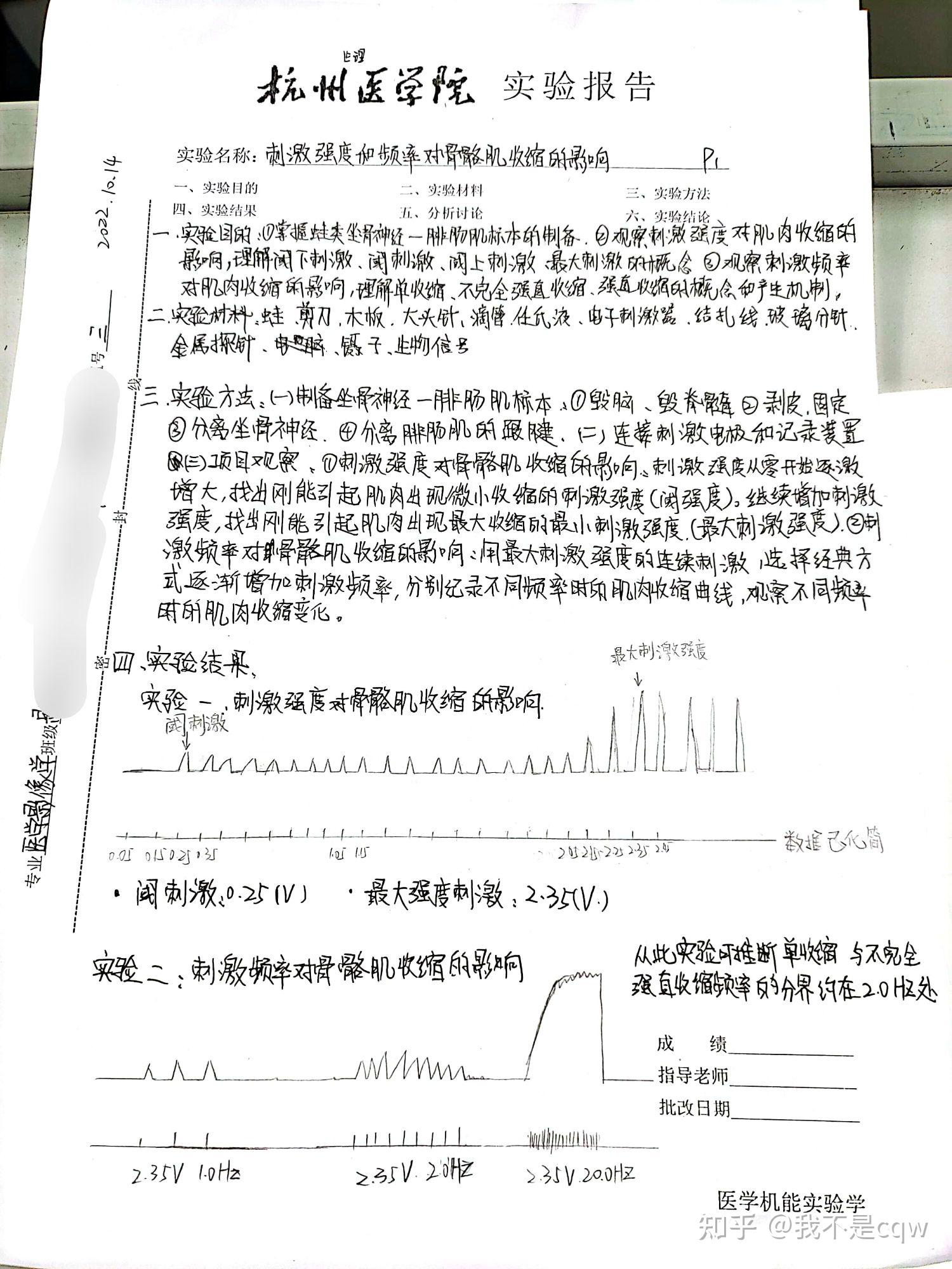 骨骼肌实验报告手绘图图片