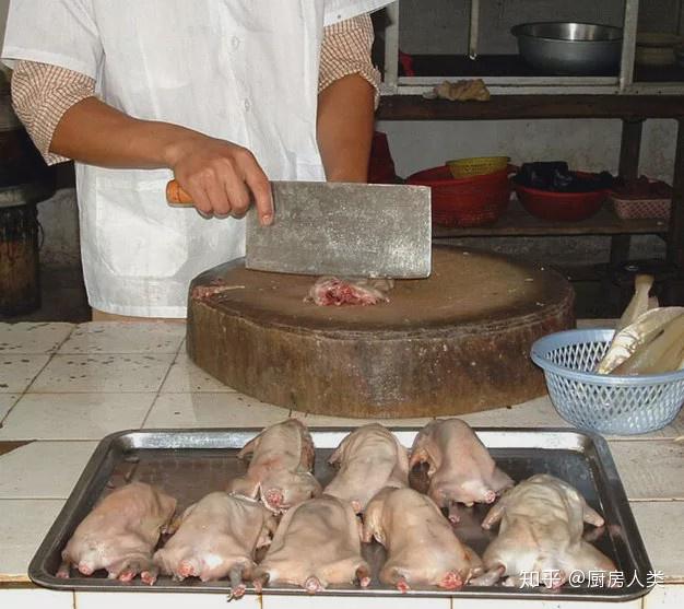 中国花式吃野味行为图鉴