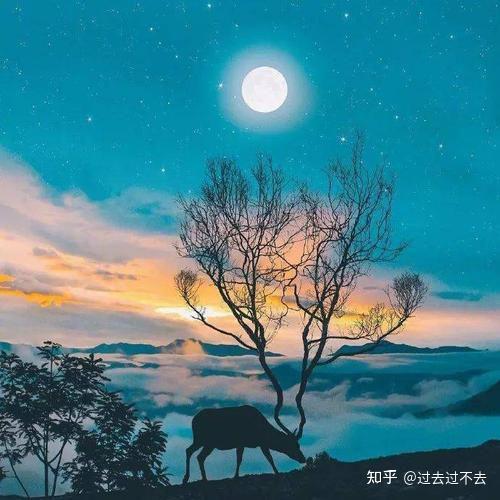 文案短句干净治愈一段(100句文案短句干净治愈)