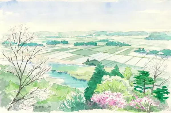 春天出去浪 看他画的风景你一定会有灵感 知乎