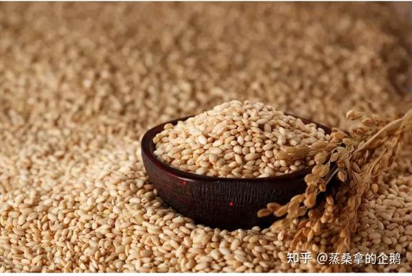 糙米与白米 - 知乎
