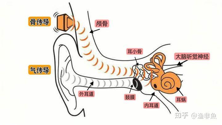 2023年最适合多场景和久戴的蓝牙耳机推荐骨聆ss900耳夹式骨传导蓝牙