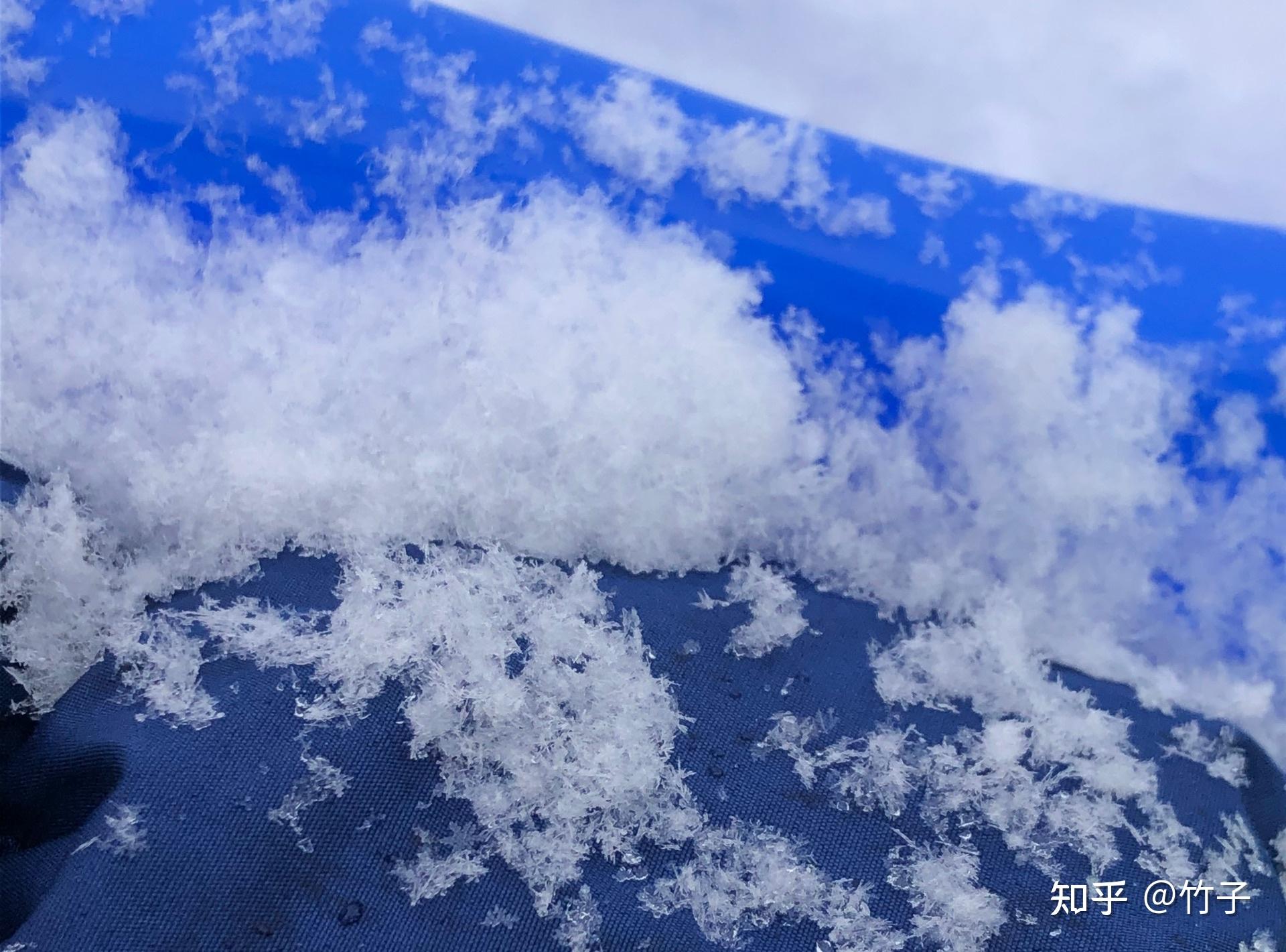 粉雪降临札幌冬夏两重天