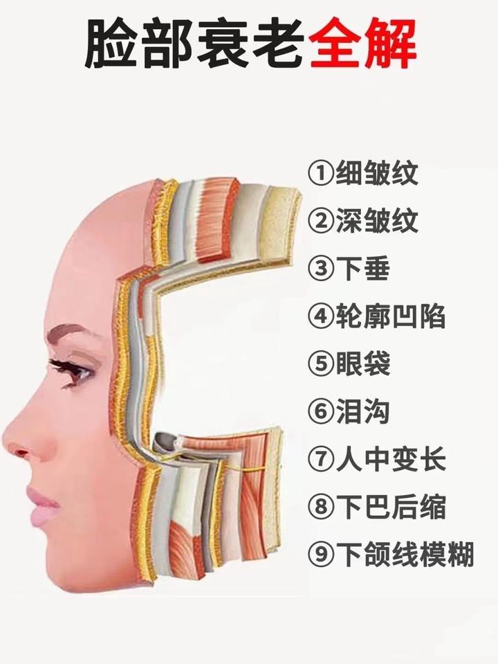 脸部衰老全解 - 知乎