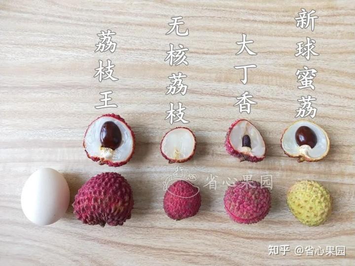 2022全国好吃的荔枝品种排名:看完这篇,买荔枝不再踩坑 - 知乎