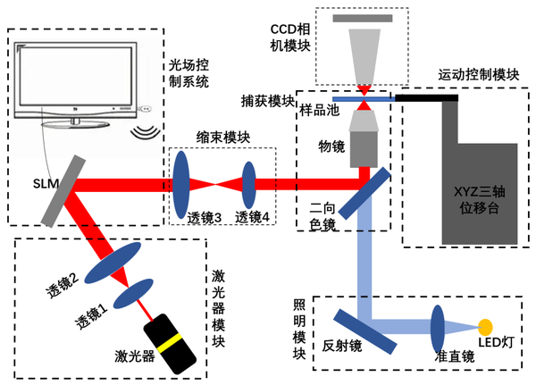 单光束光镊系统&全息光镊系统 - 知乎