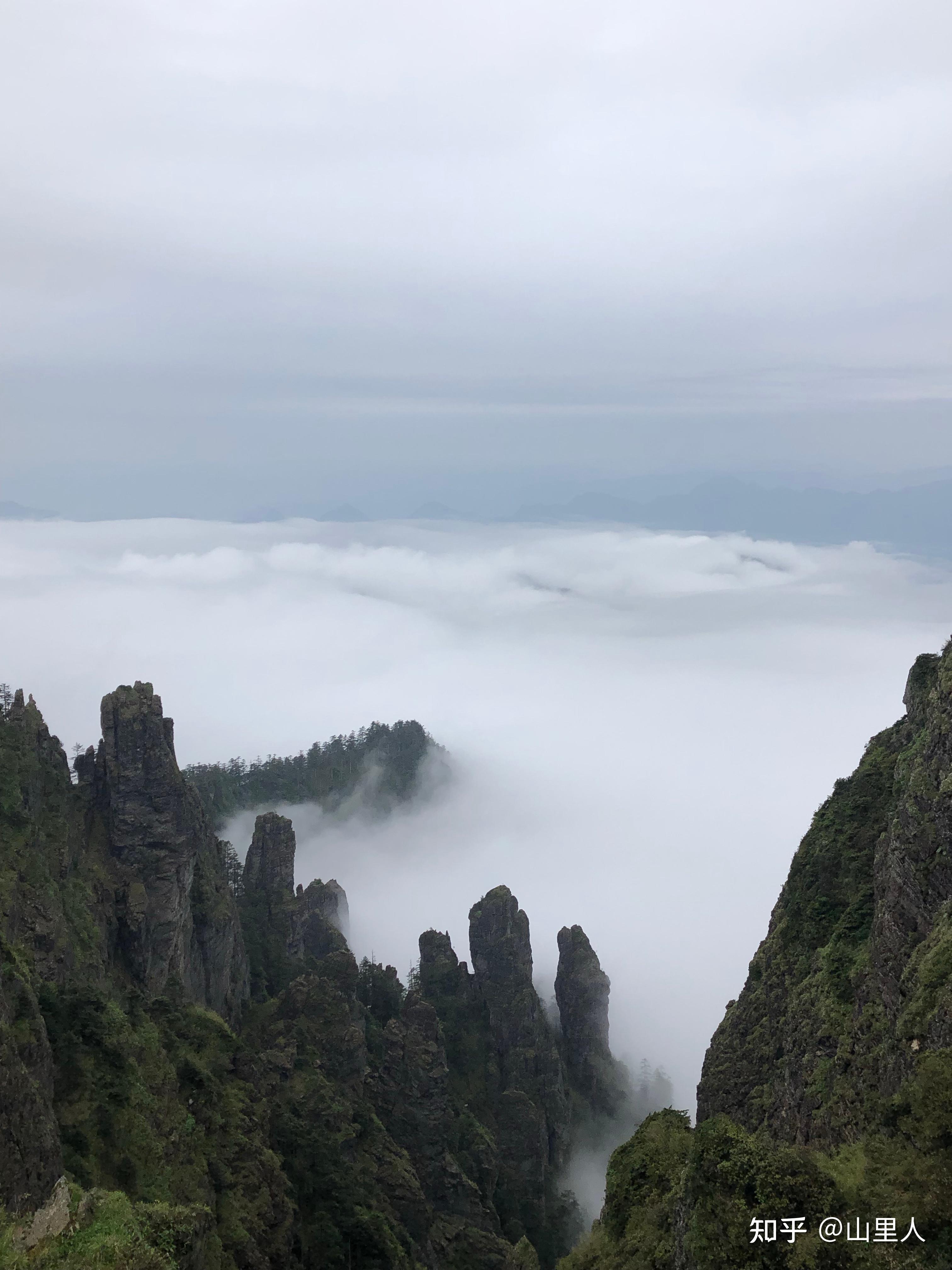 神农架旅游攻略,避坑指南,详细行程推荐,最新发布! - 知乎