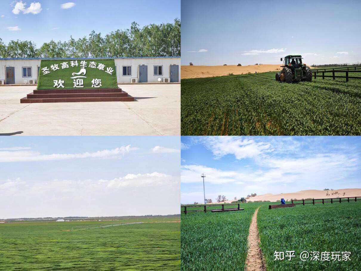 乌兰布和大沙漠