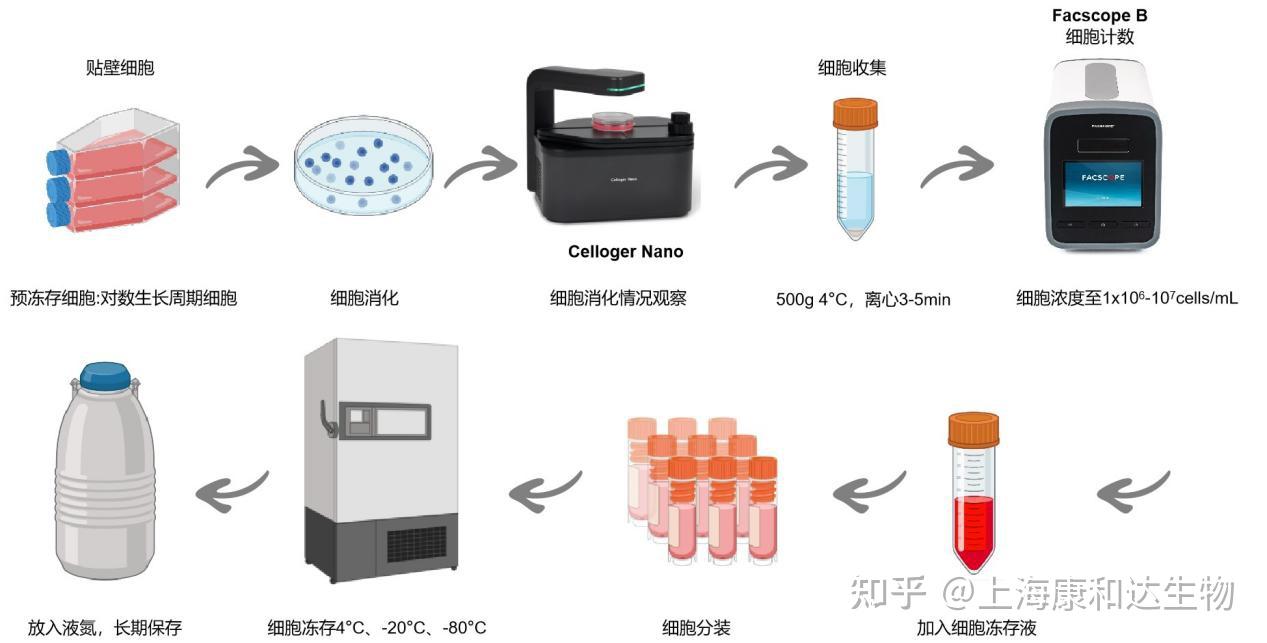 细胞培养基础实验入门指南 - 知乎